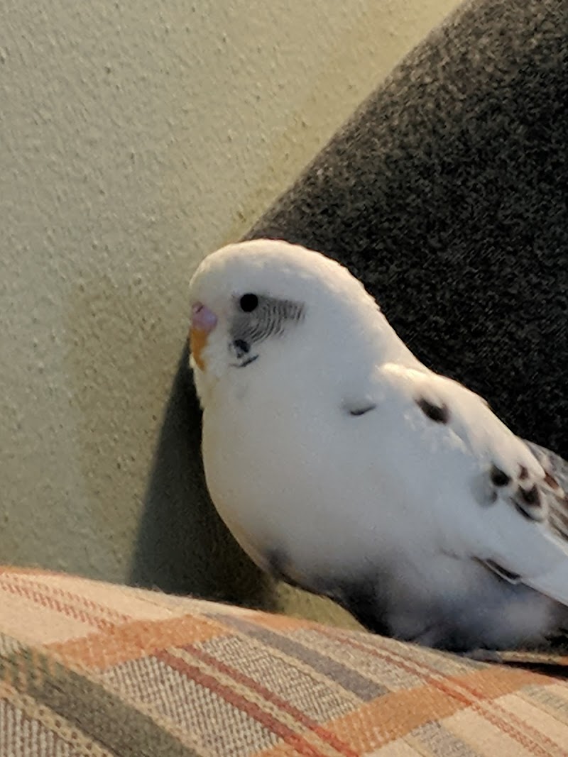 Delafield Small Animal Hospital photo 3