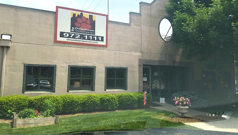 The Downtown Veterinarian photo 2