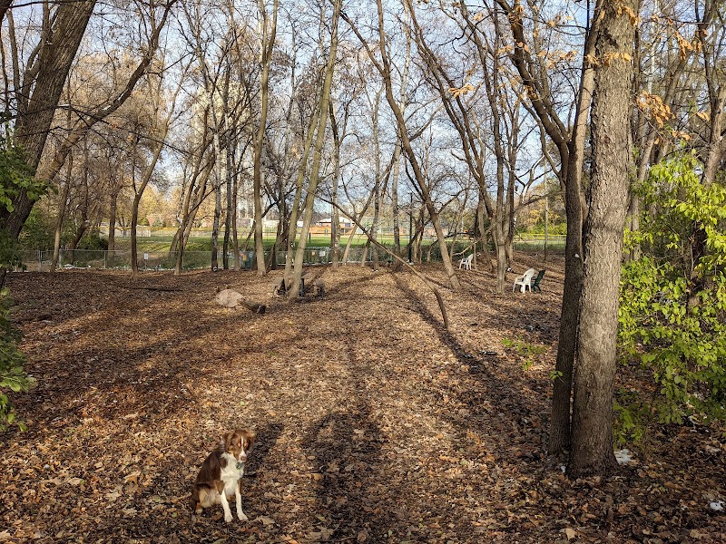 Cedar Knoll Park photo 3