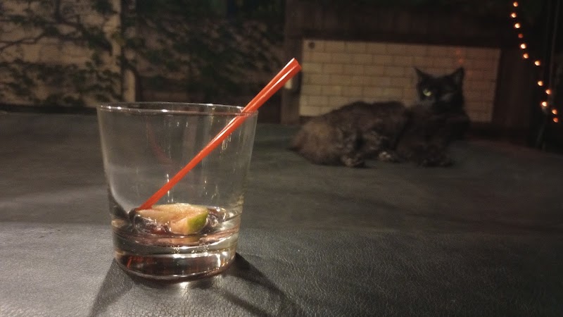 Trixie's Bar photo 2