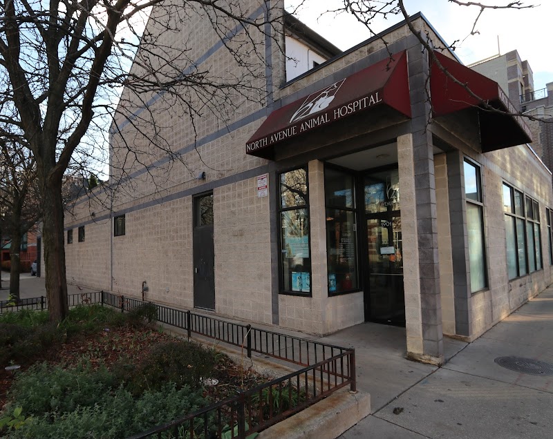 North Avenue Animal Hospital