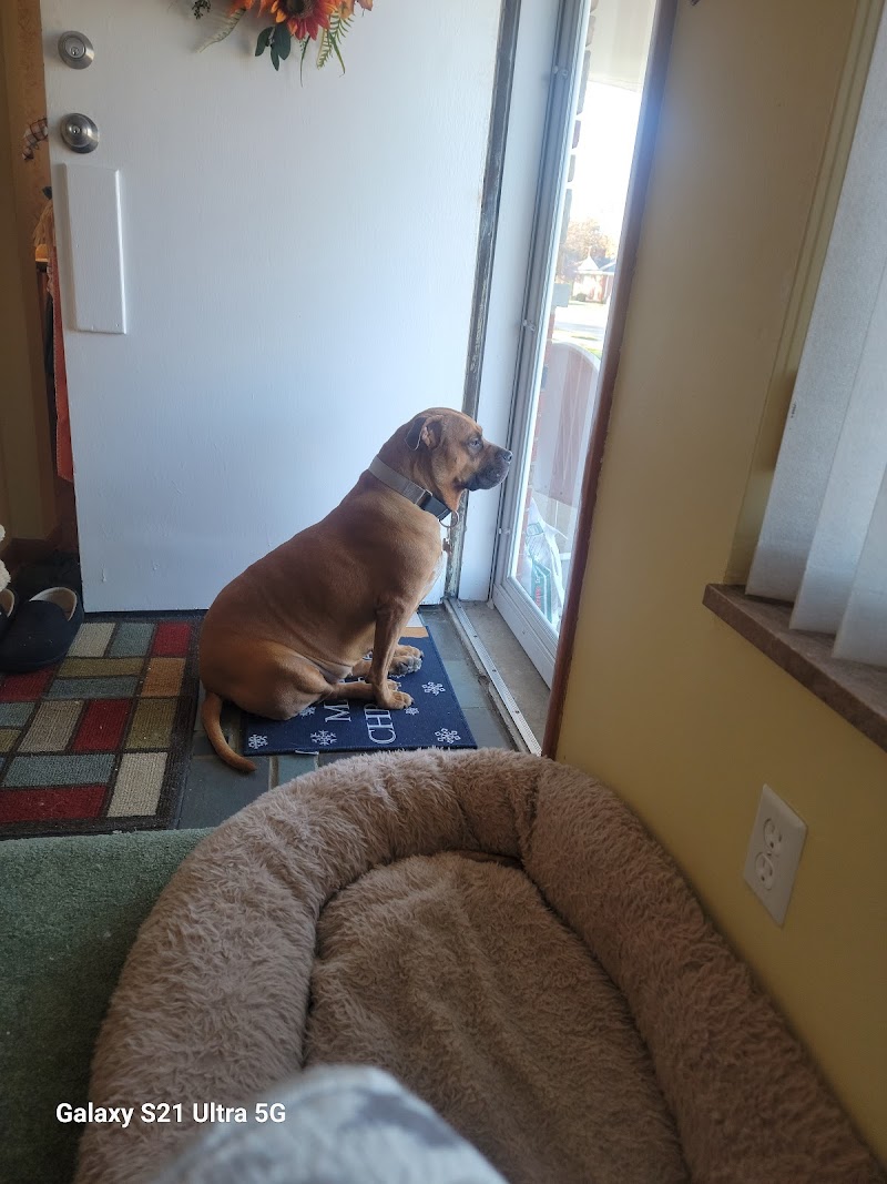 Michigan Humane Society