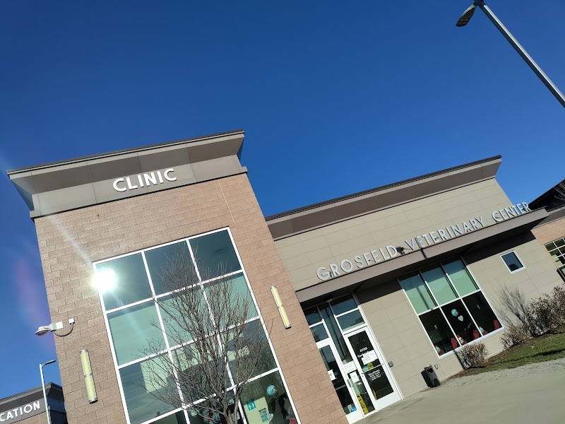 Michigan Humane Society photo 2