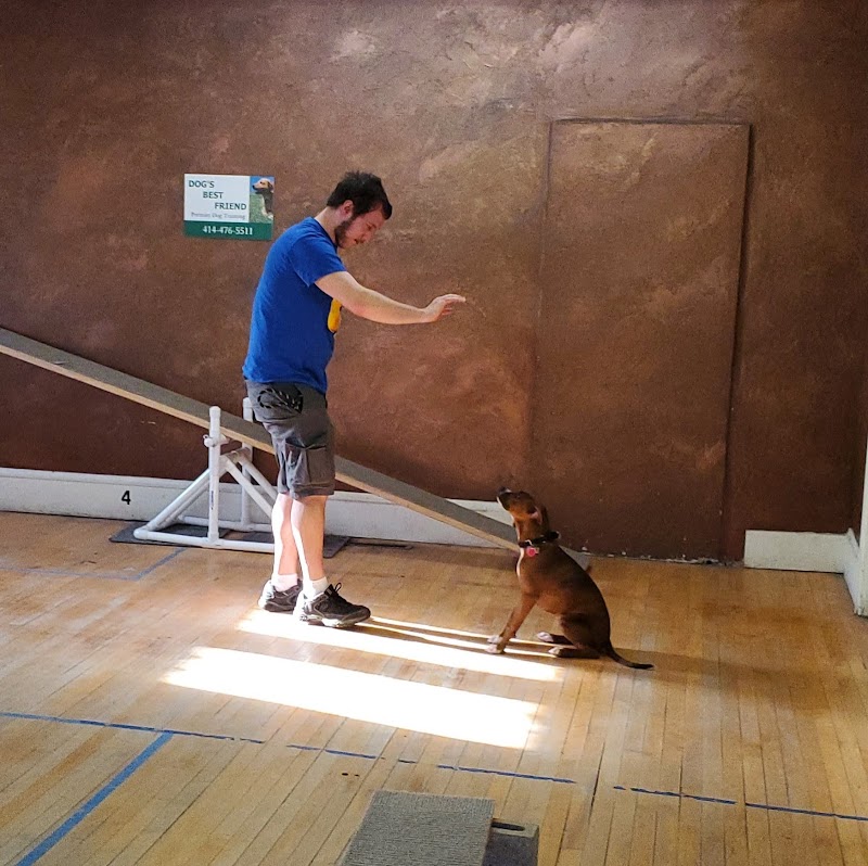 Dog's Best Friend photo 3