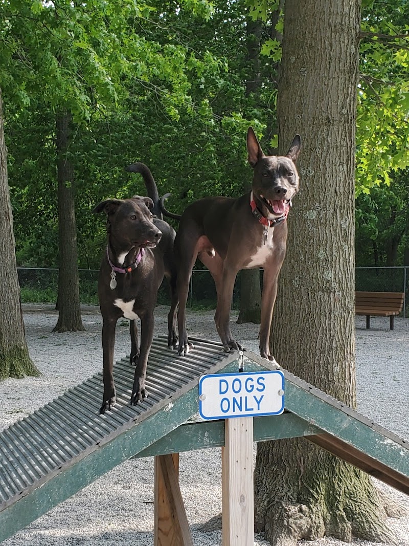 Avon Lake Dog Park photo 2