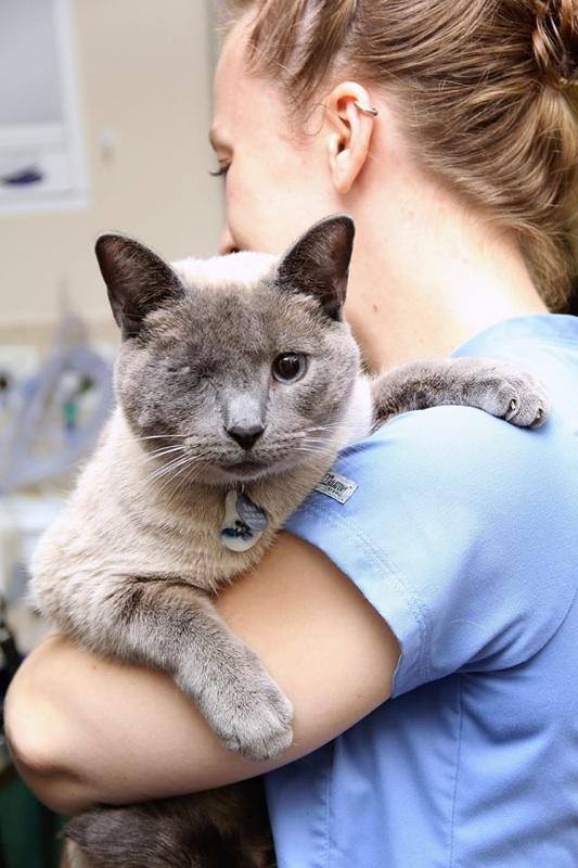 Oakland Veterinary Referral Services