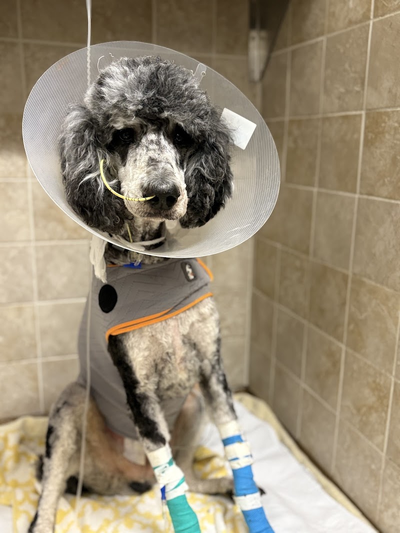 Oakland Veterinary Referral Services photo 2