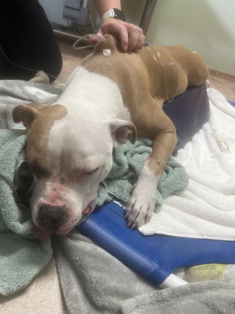 Oakland Veterinary Referral Services photo 3