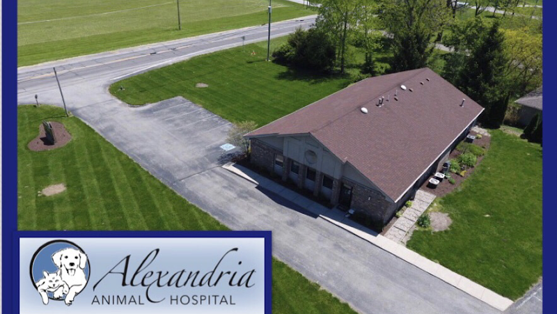 Alexandria Animal Hospital