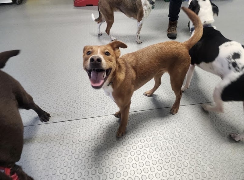 Bay View Bark photo 2