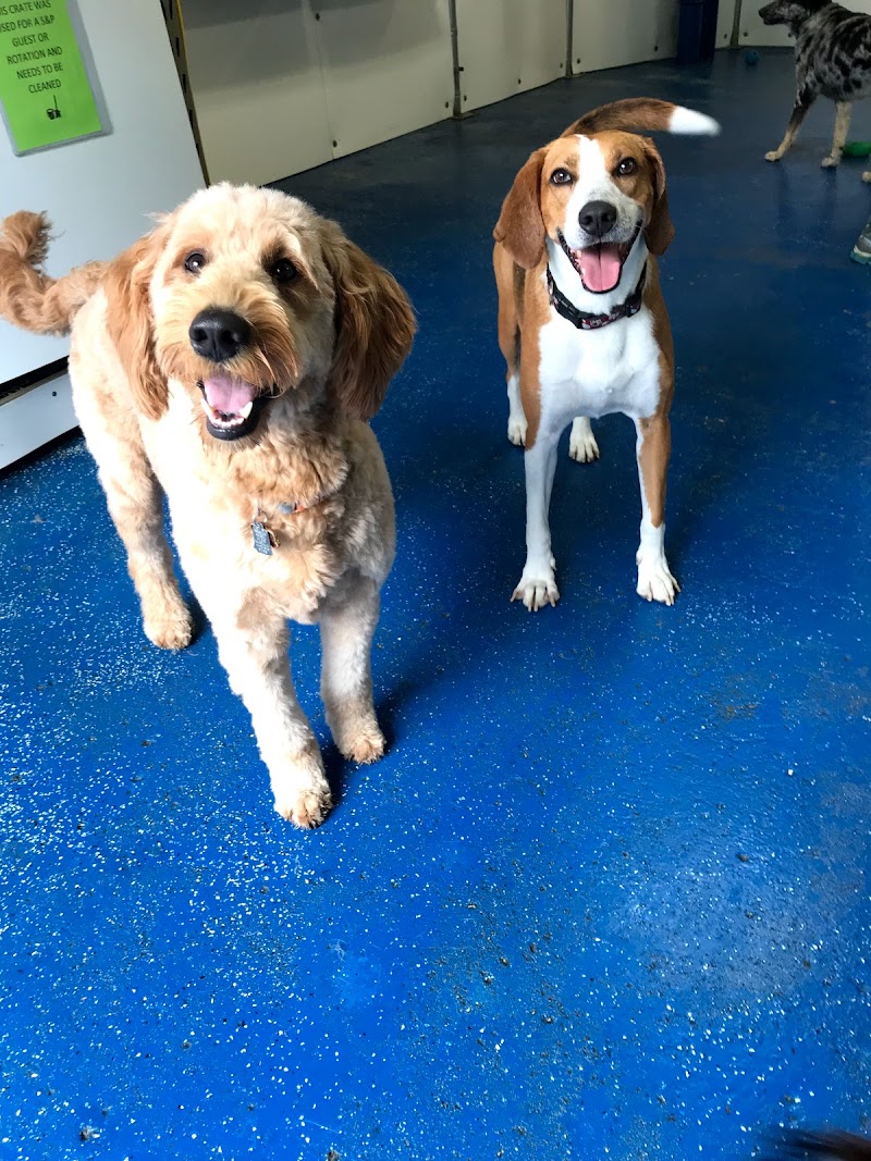 Bay View Bark photo 3