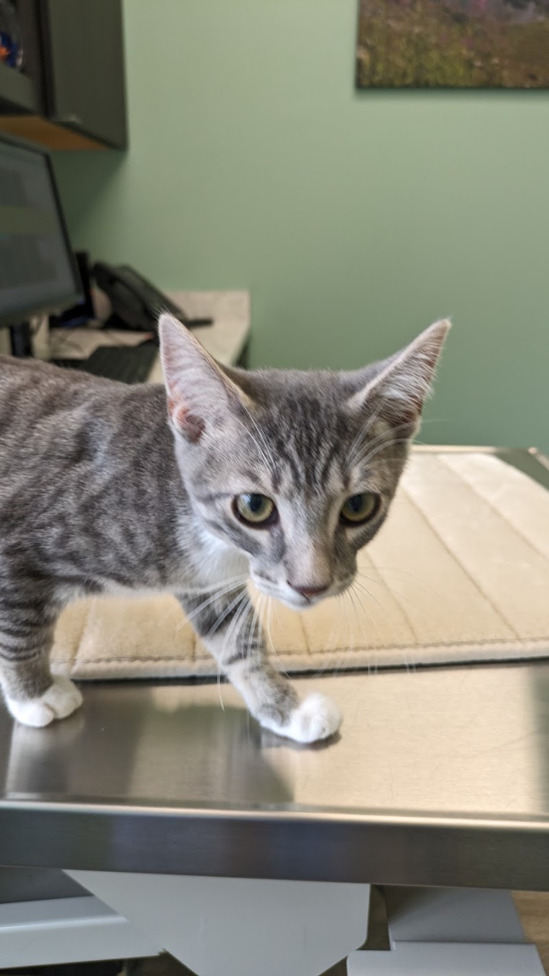 Milwaukee Vet Clinic photo 3