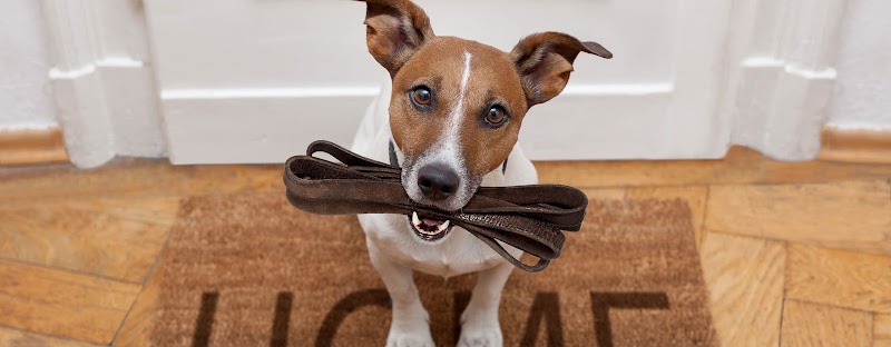 Peace of Mind Pet Services