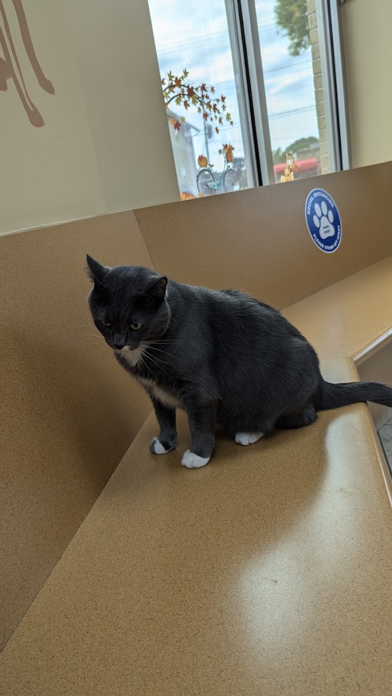 West Allis Animal Hospital photo 2