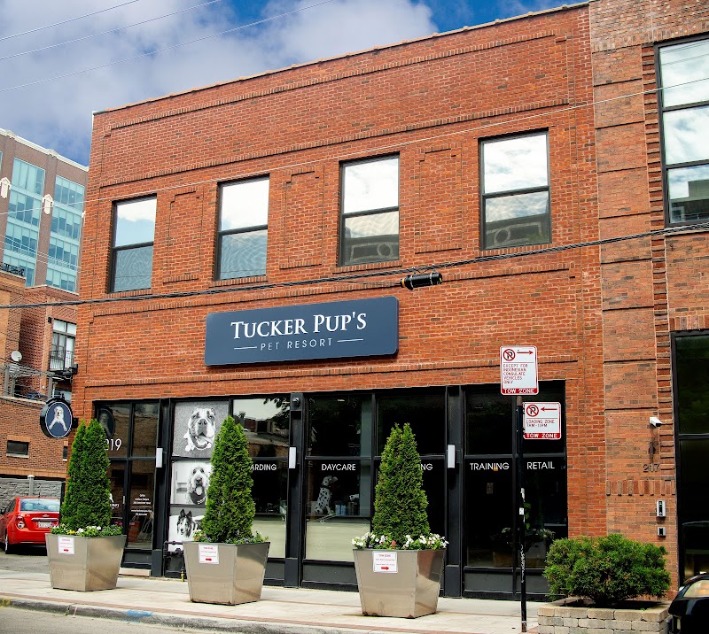 Tucker Pup's Pet Resorta photo 2