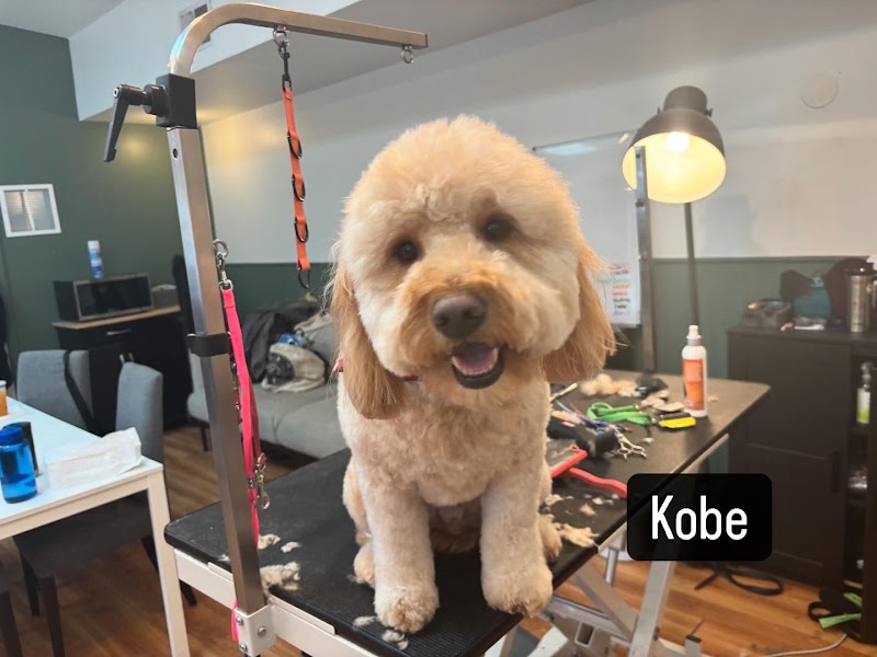 Temple of the Dog & Meow Lounge