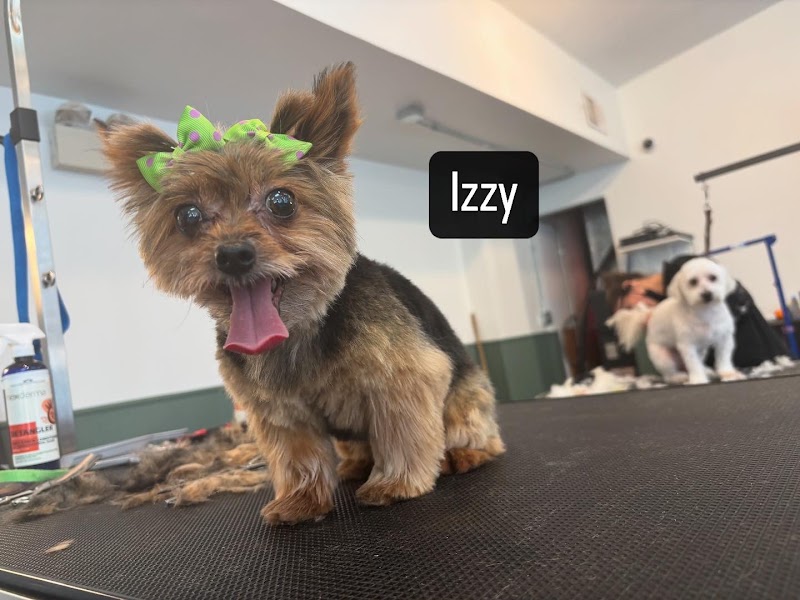 Temple of the Dog & Meow Lounge photo 2