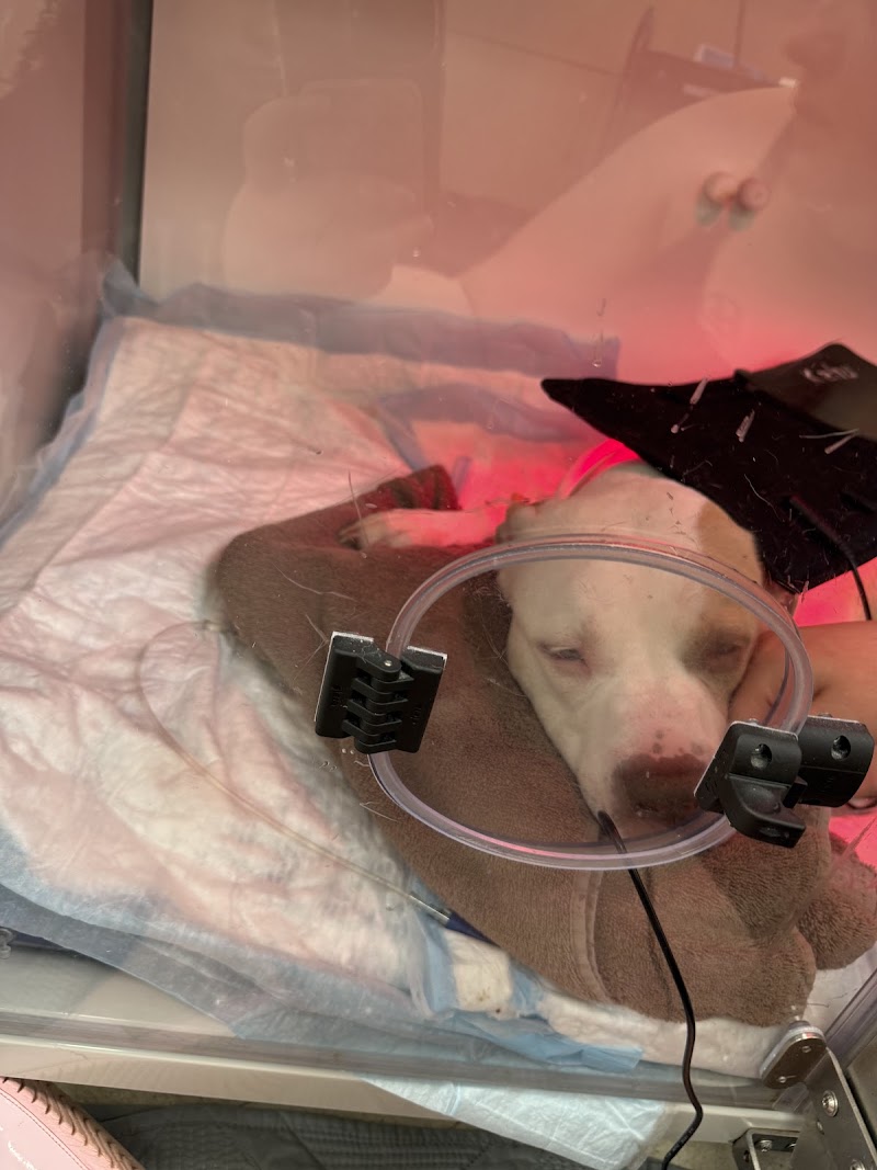 WVRC - Waukesha photo 2