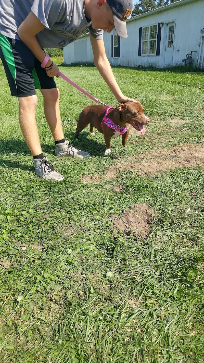 Humane Society Johnson County photo 3