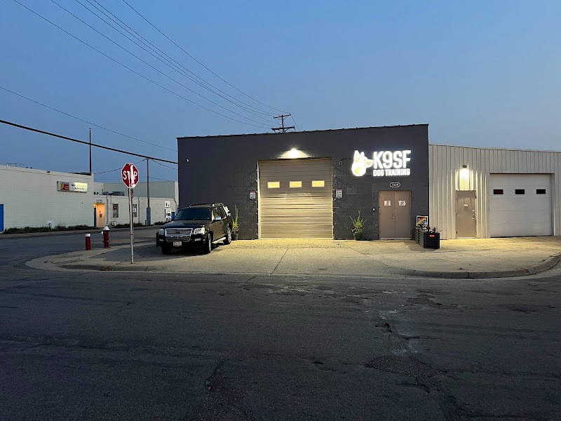 K9SF Dog Training photo 2