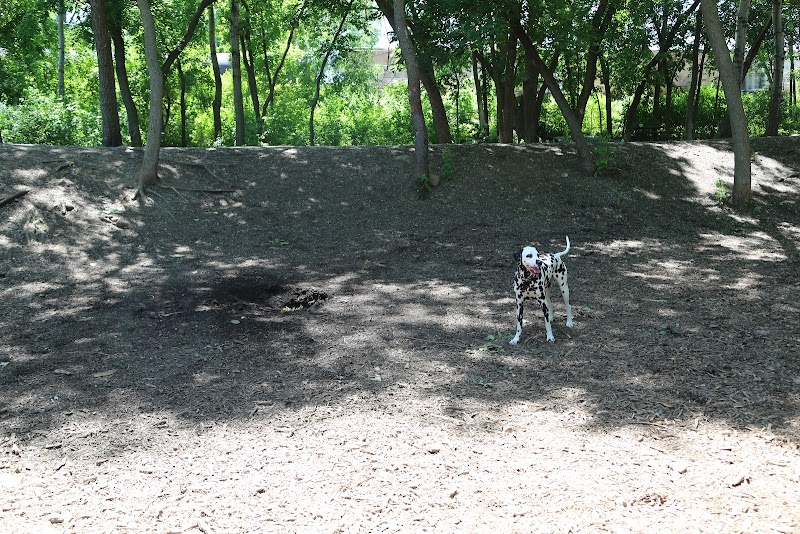 Carlson Dog Park