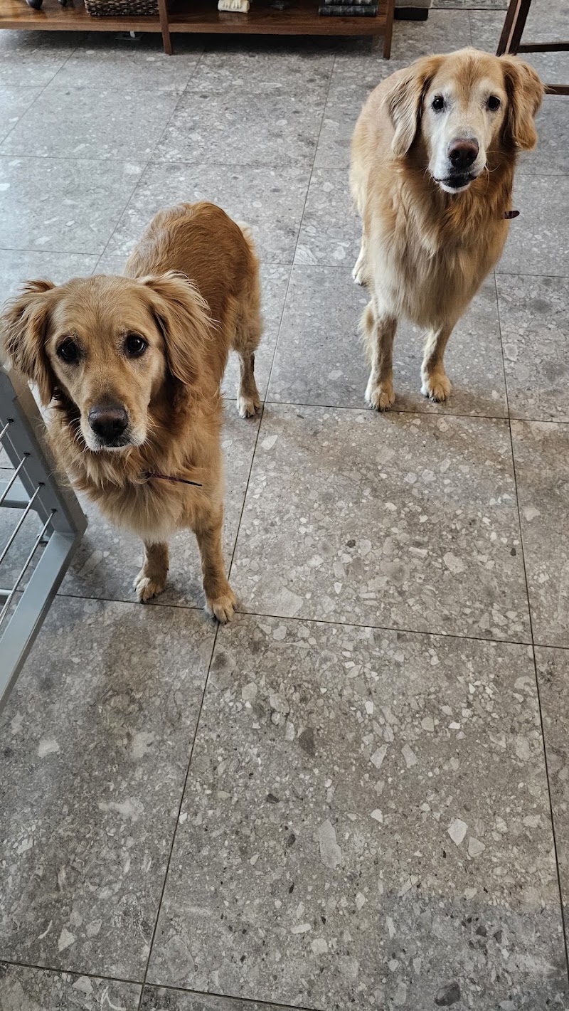 Preferred Pet Sitter photo 2