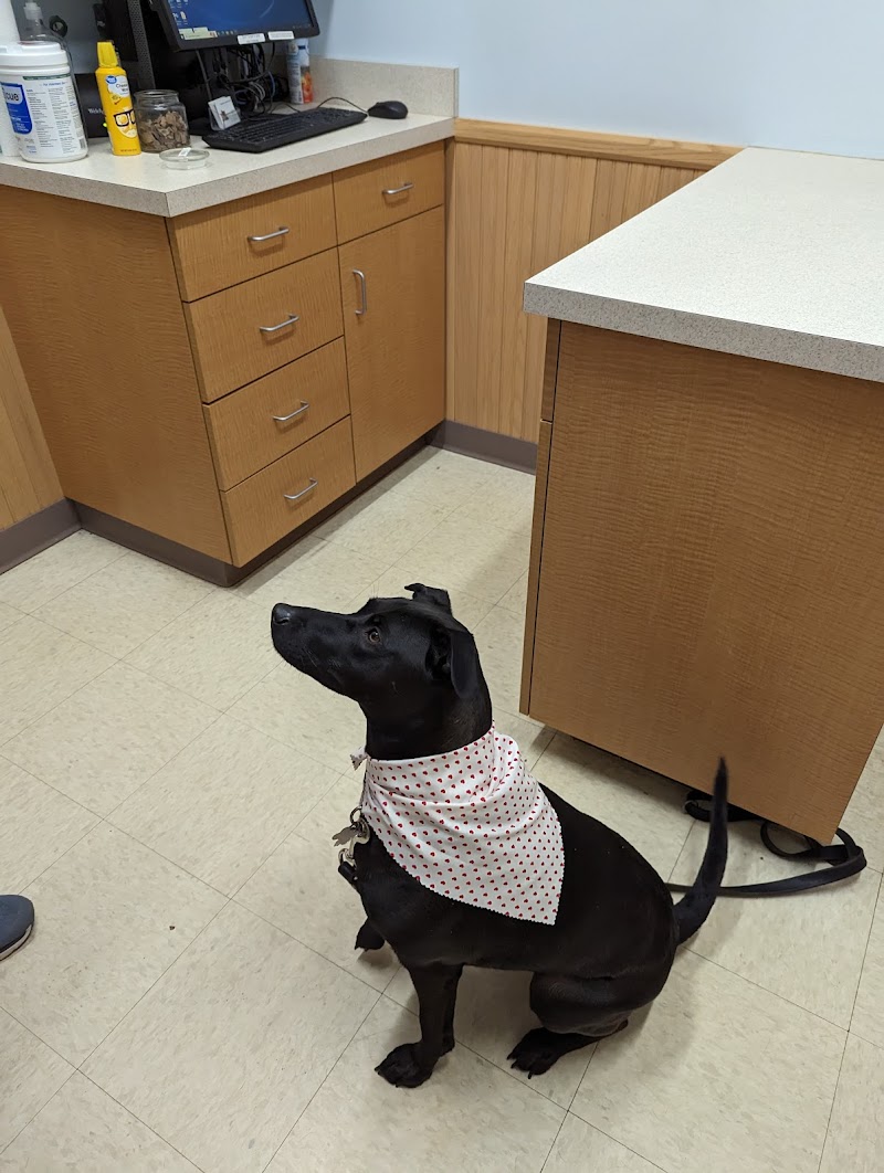 Randhurst Animal Hospital photo 3