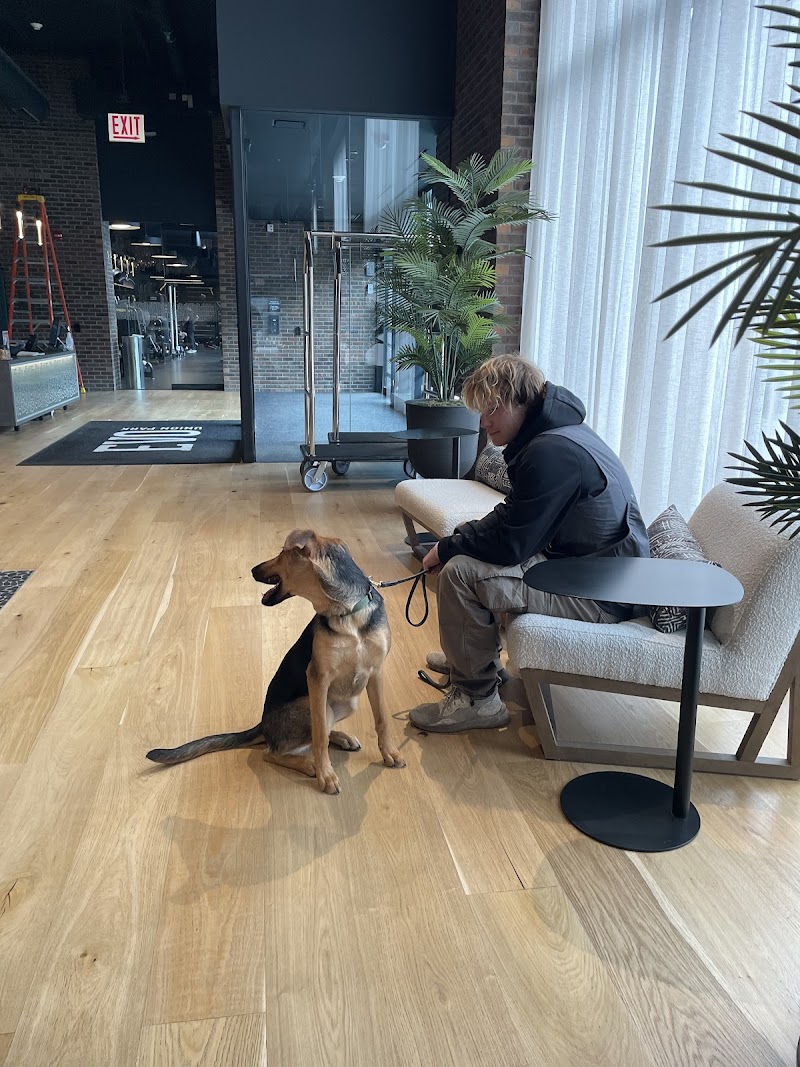 Prestige Dog Training photo 2