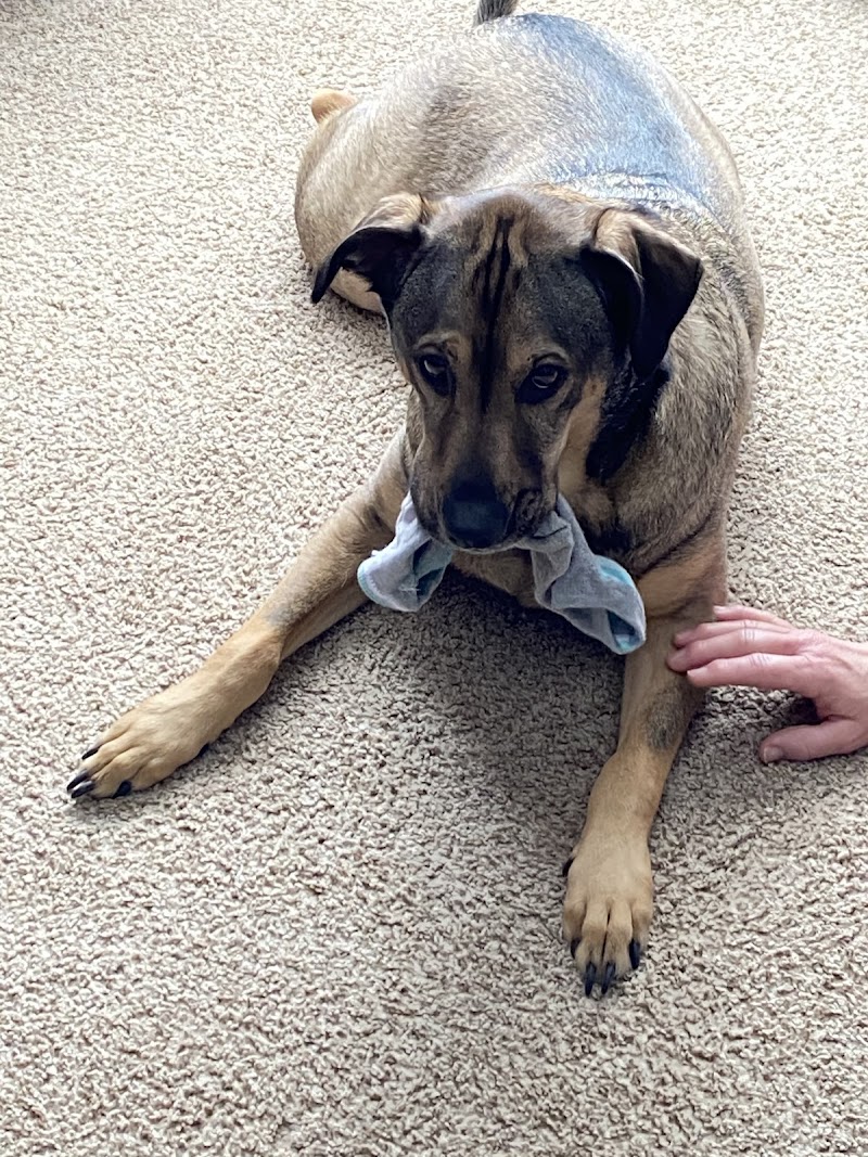 Elmbrook Veterinary Clinic photo 2