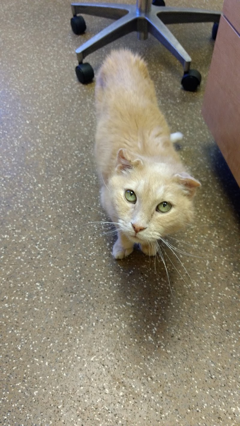 Elmbrook Veterinary Clinic photo 3