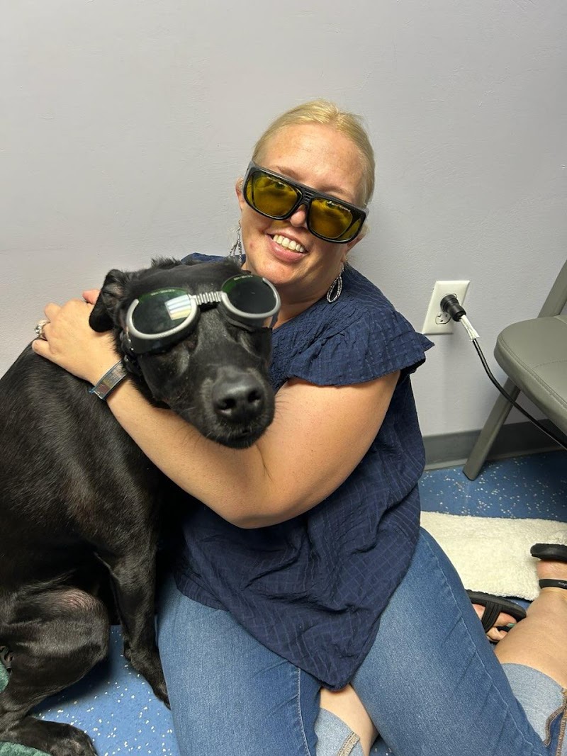 Warren Woods Veterinary Hospital photo 2