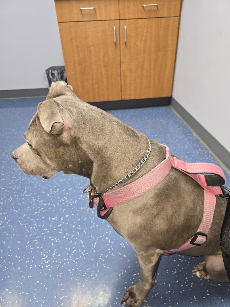 Warren Woods Veterinary Hospital photo 3