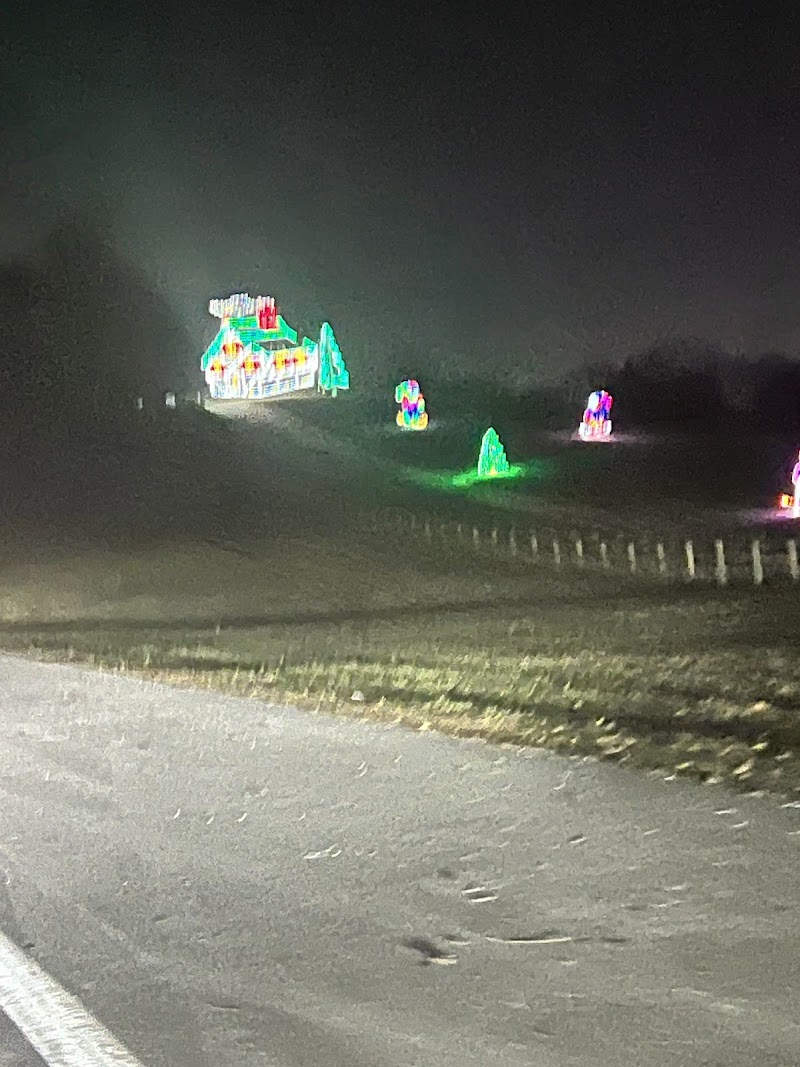 Wayne County Hines Dog Park photo 3