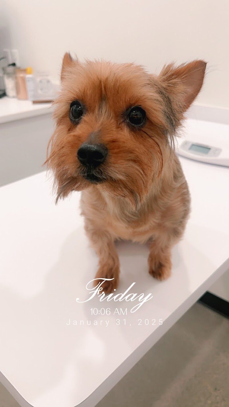 Animal Hospital Maple Orchard photo 2