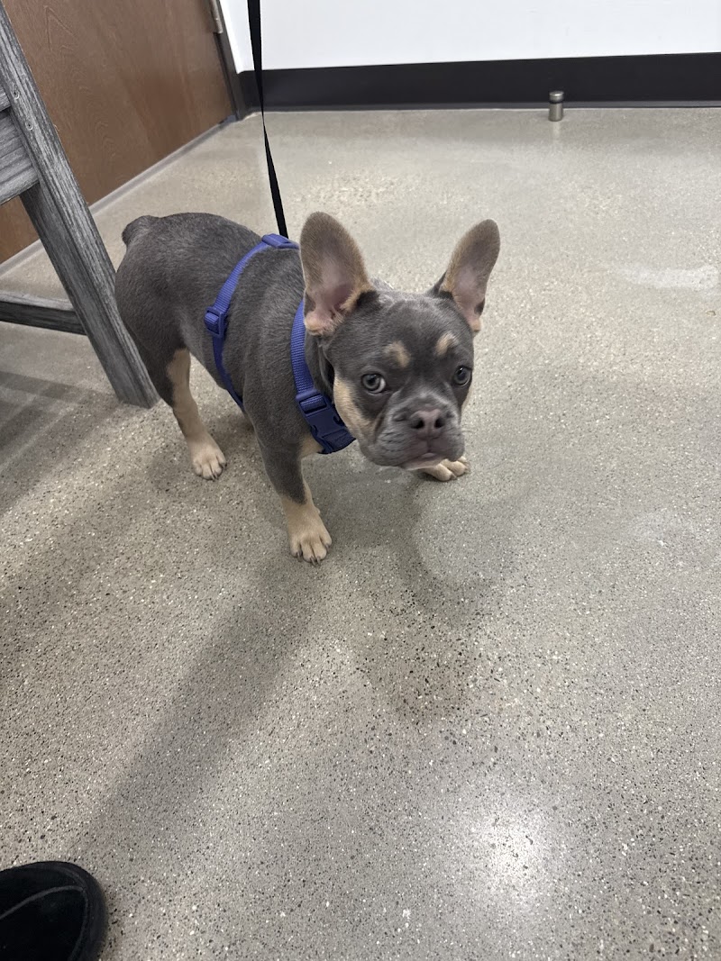 Animal Hospital Maple Orchard photo 3