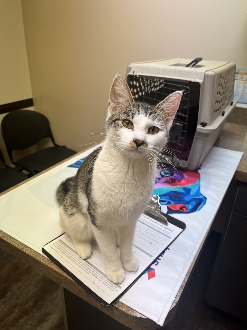 Sutton Road Animal Hospital photo 2