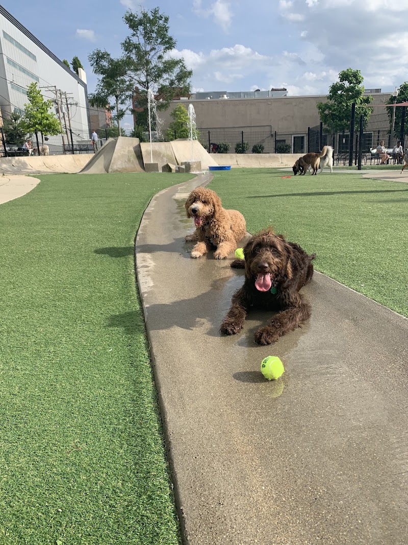 Fred Anderson Park photo 3