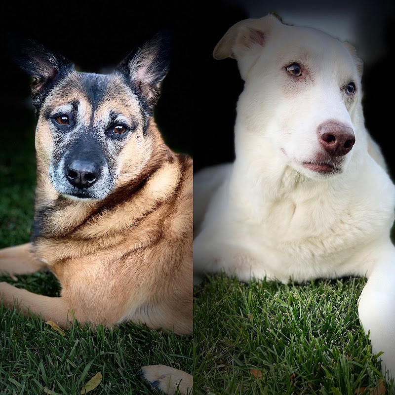 East Tosa Vet Clinic photo 2