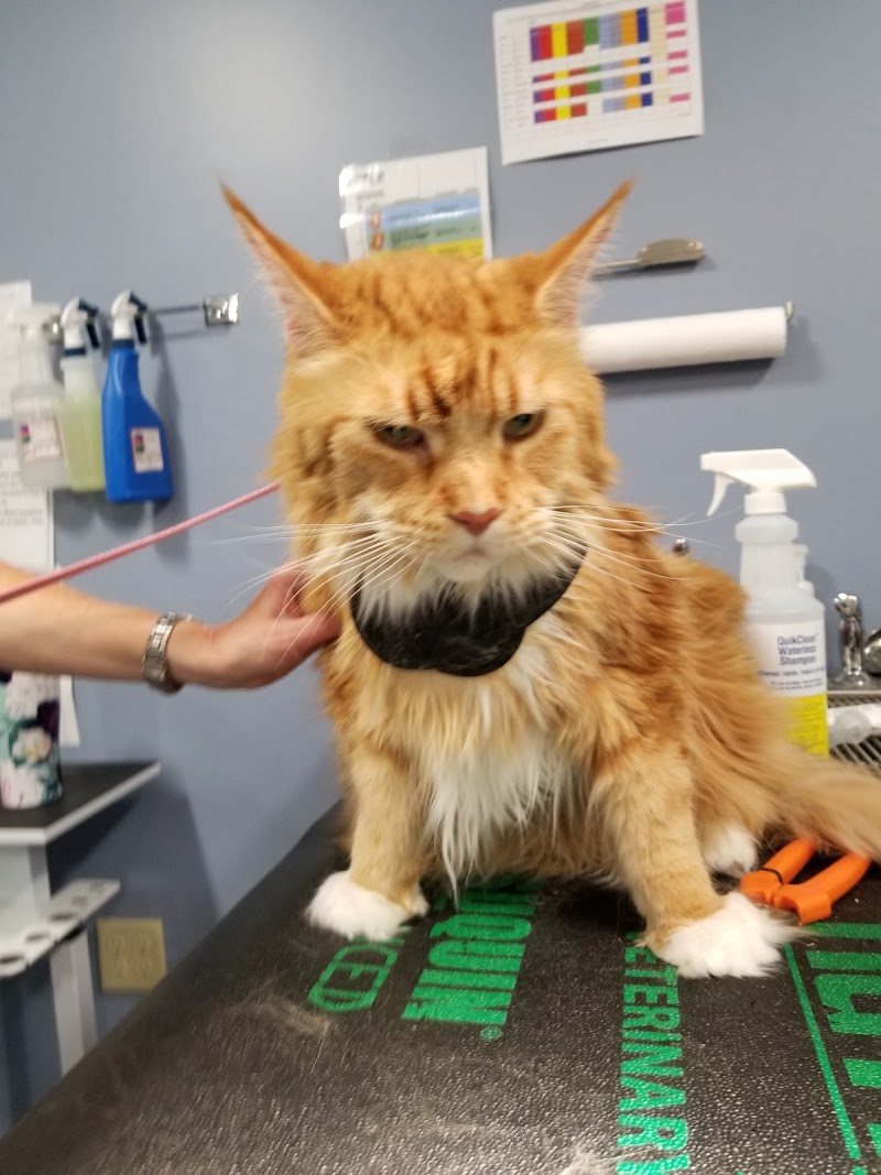 East Tosa Vet Clinic photo 3