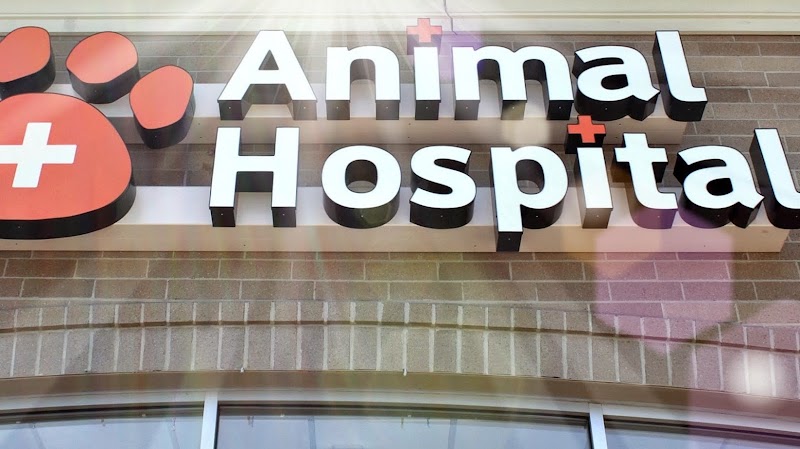Finan Animal Hospital