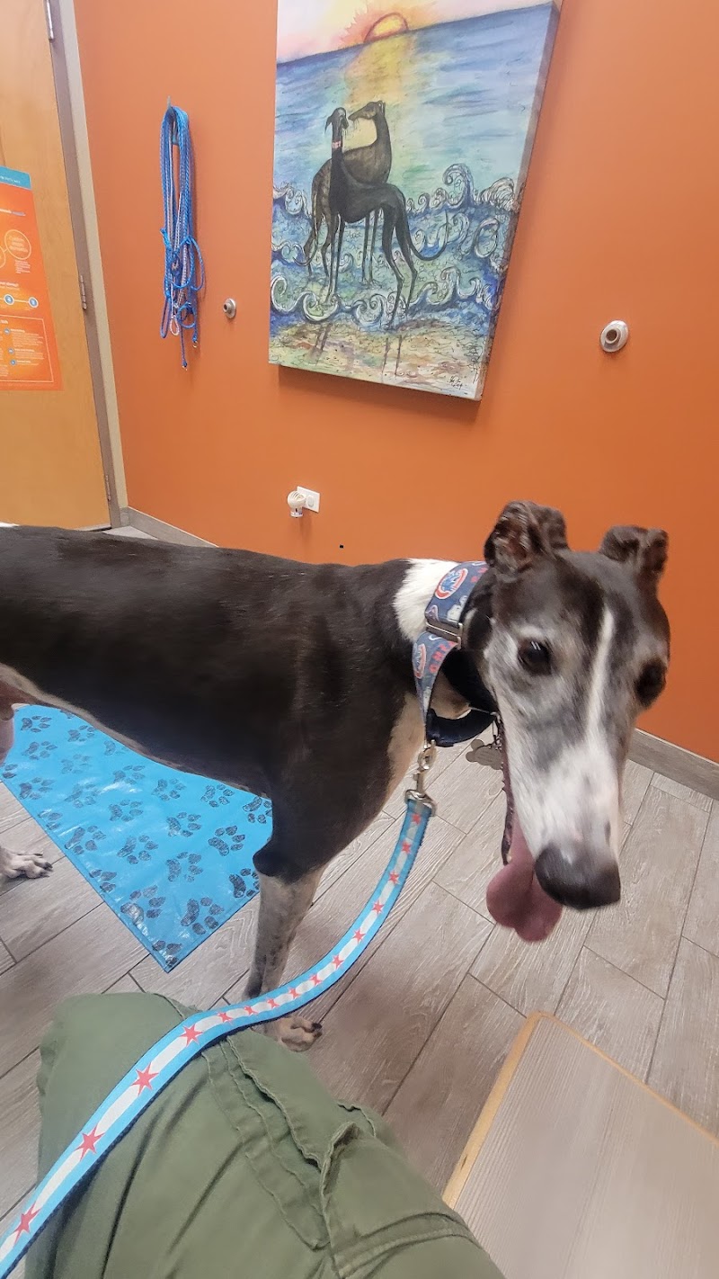 Finan Animal Hospital photo 2