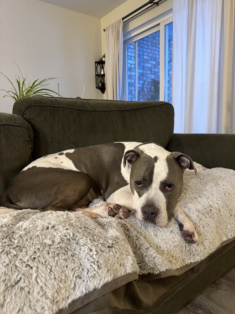 Finan Animal Hospital photo 3