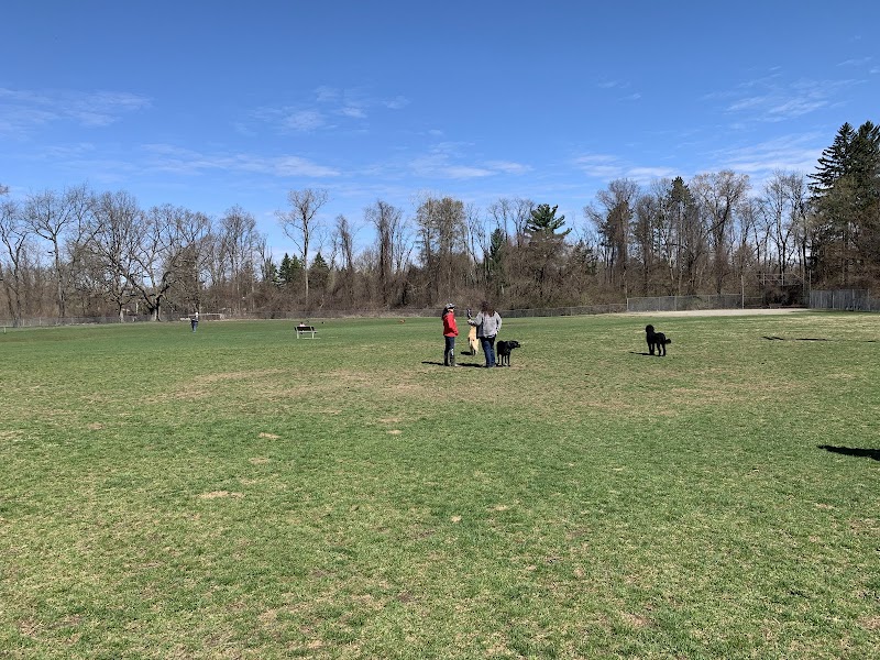 William Grace Dog Park photo 2