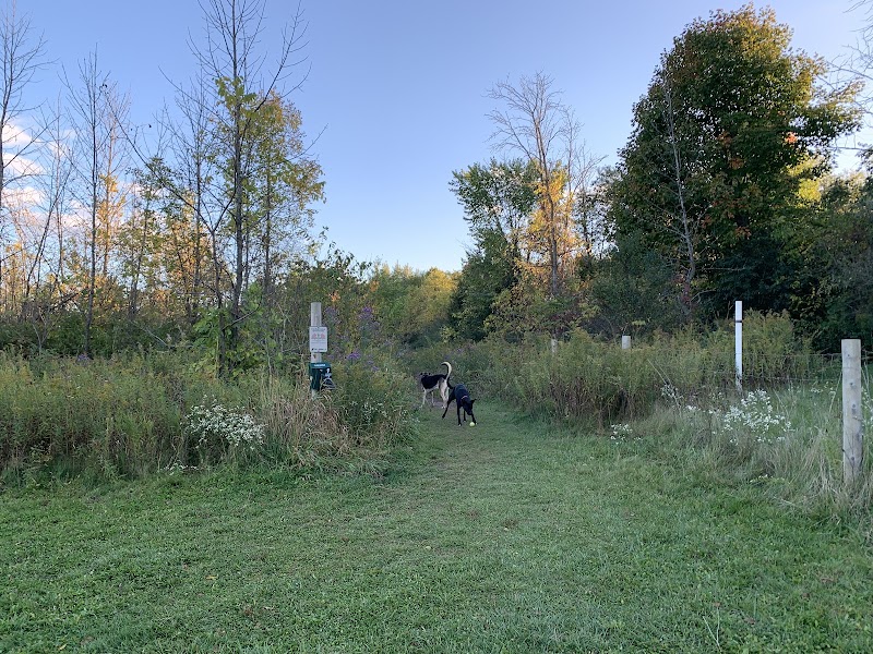 Homestead Howl Dog Park