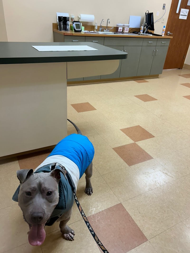 Plymouth Heights Pet Hospital photo 2