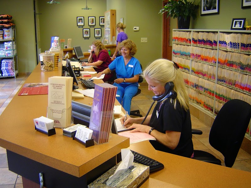 Plymouth Heights Pet Hospital photo 3