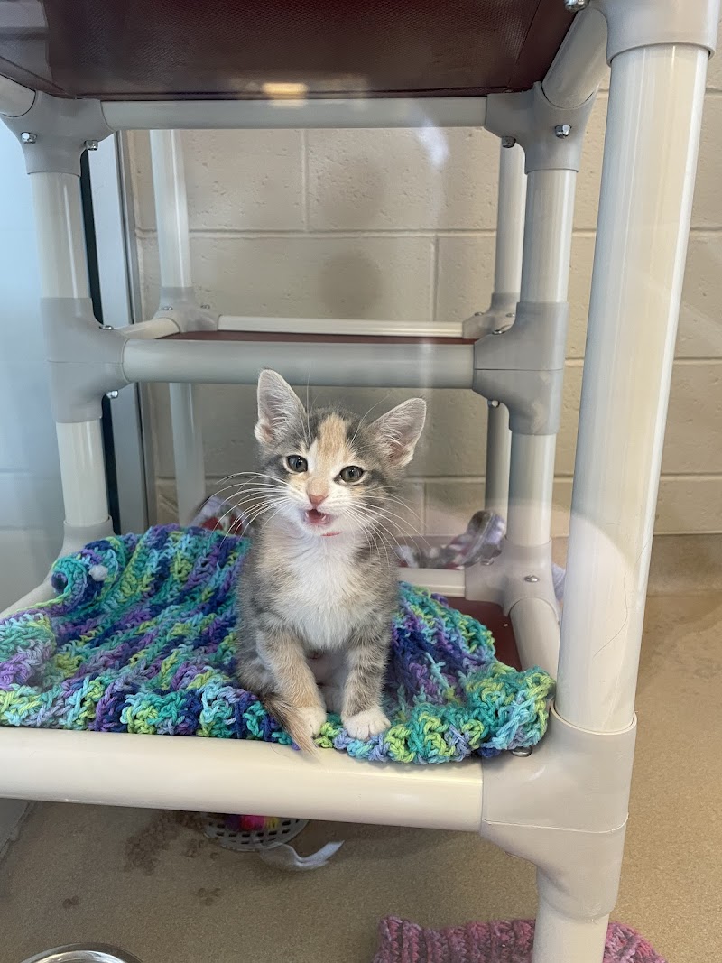 Wisconsin Humane Society photo 3