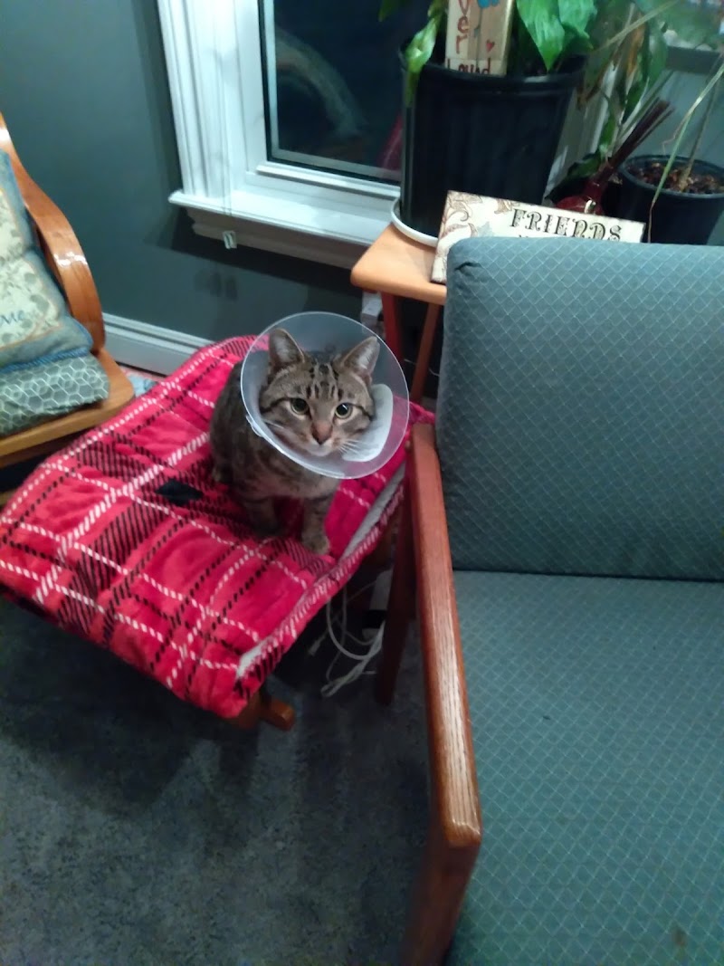 Michigan Anti-Cruelty Society photo 2