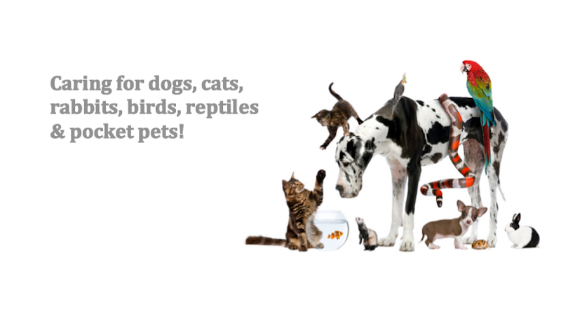 Union Lake Veterinary Hospital