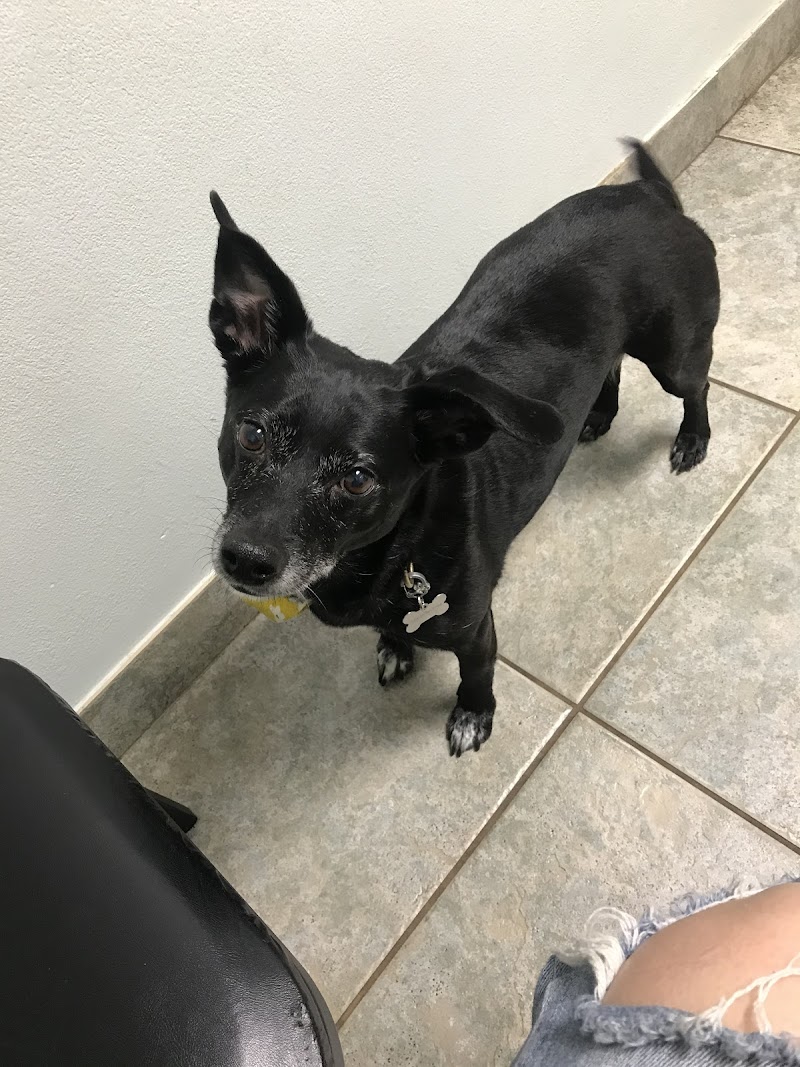 Snider Veterinary Services